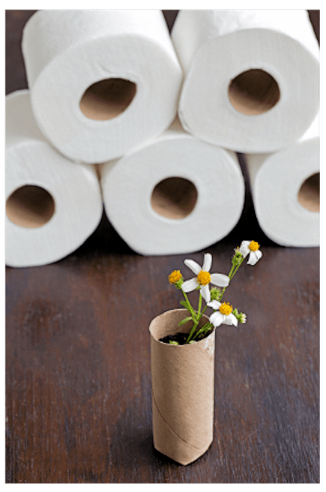Toilet paper roll seed starter